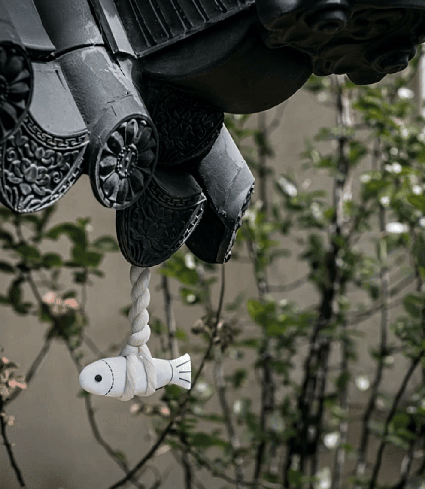 182c20ac9f04a192a5b650e98c6f9d4e_1773204209_4479.gif 182c20ac9f04a192a5b650e98c6f9d4e_1773204209_4479.gif